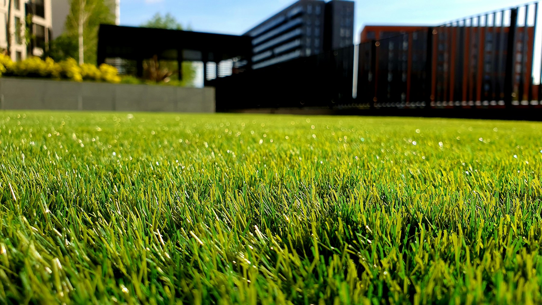 Lush Green Turf Background